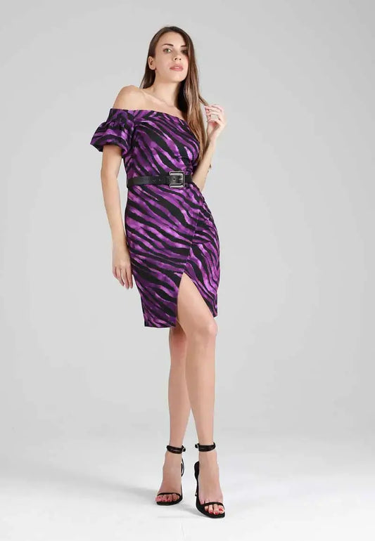 Zebra Skin Mini Dress with Belt